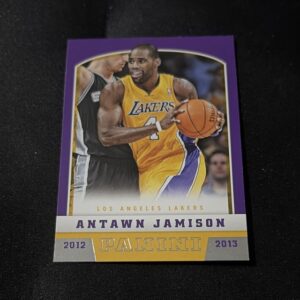 Antawn Jamison
