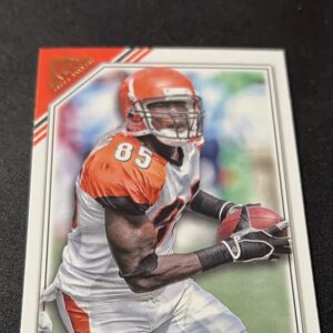 Chad Johnson