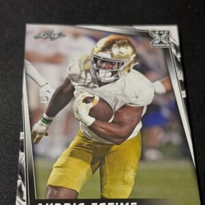 Audric Estime