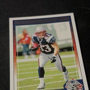 Wes Welker