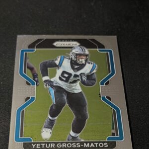 Yetur Gross-Matos