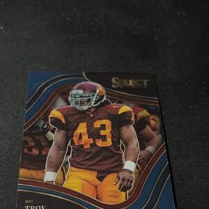 Troy Polamalu