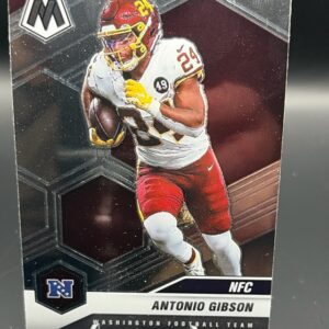 Antonio Gibson